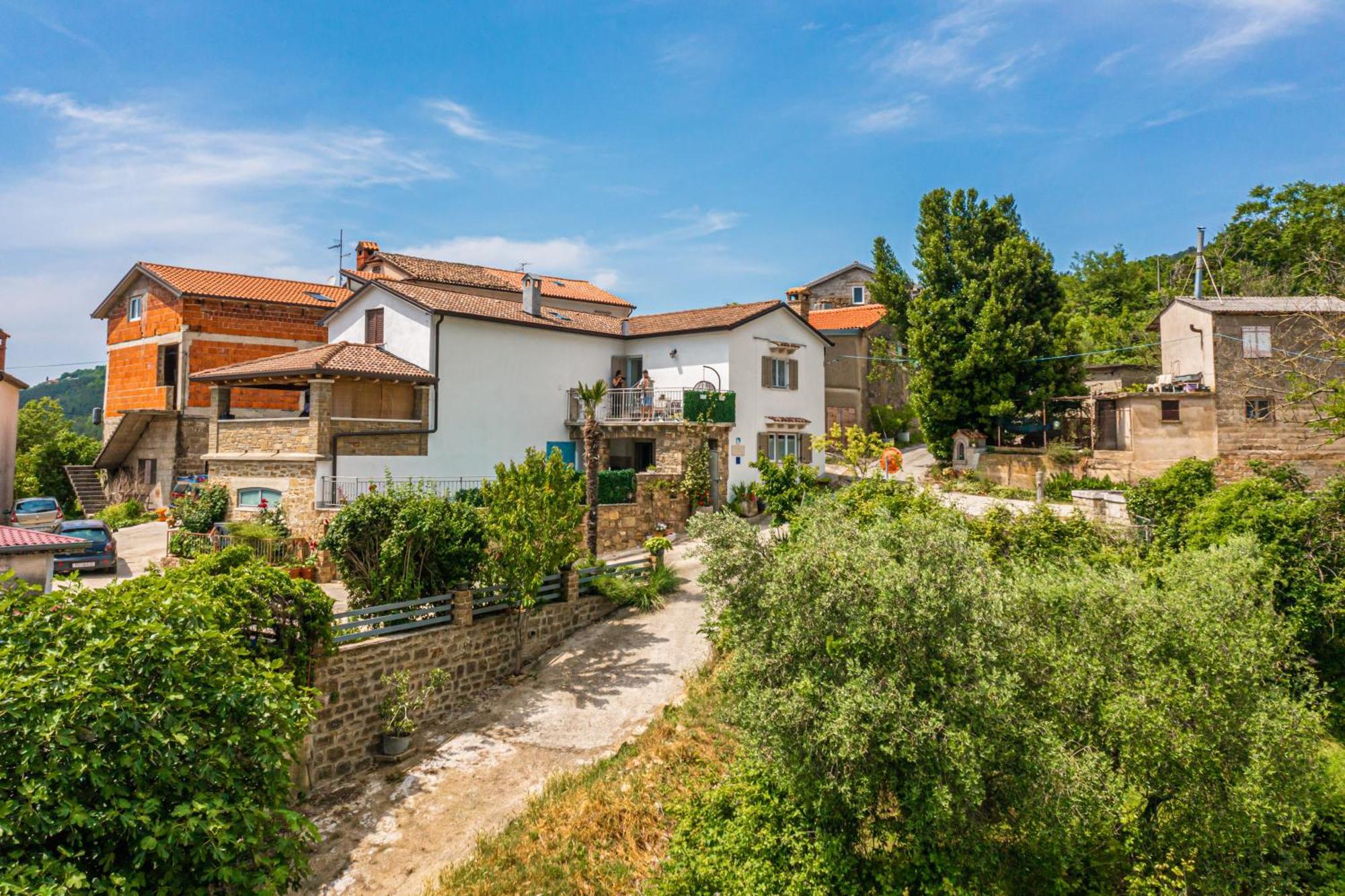 Holiday Home Belveder Motovun With Heated Pool Livade Zewnętrze zdjęcie
