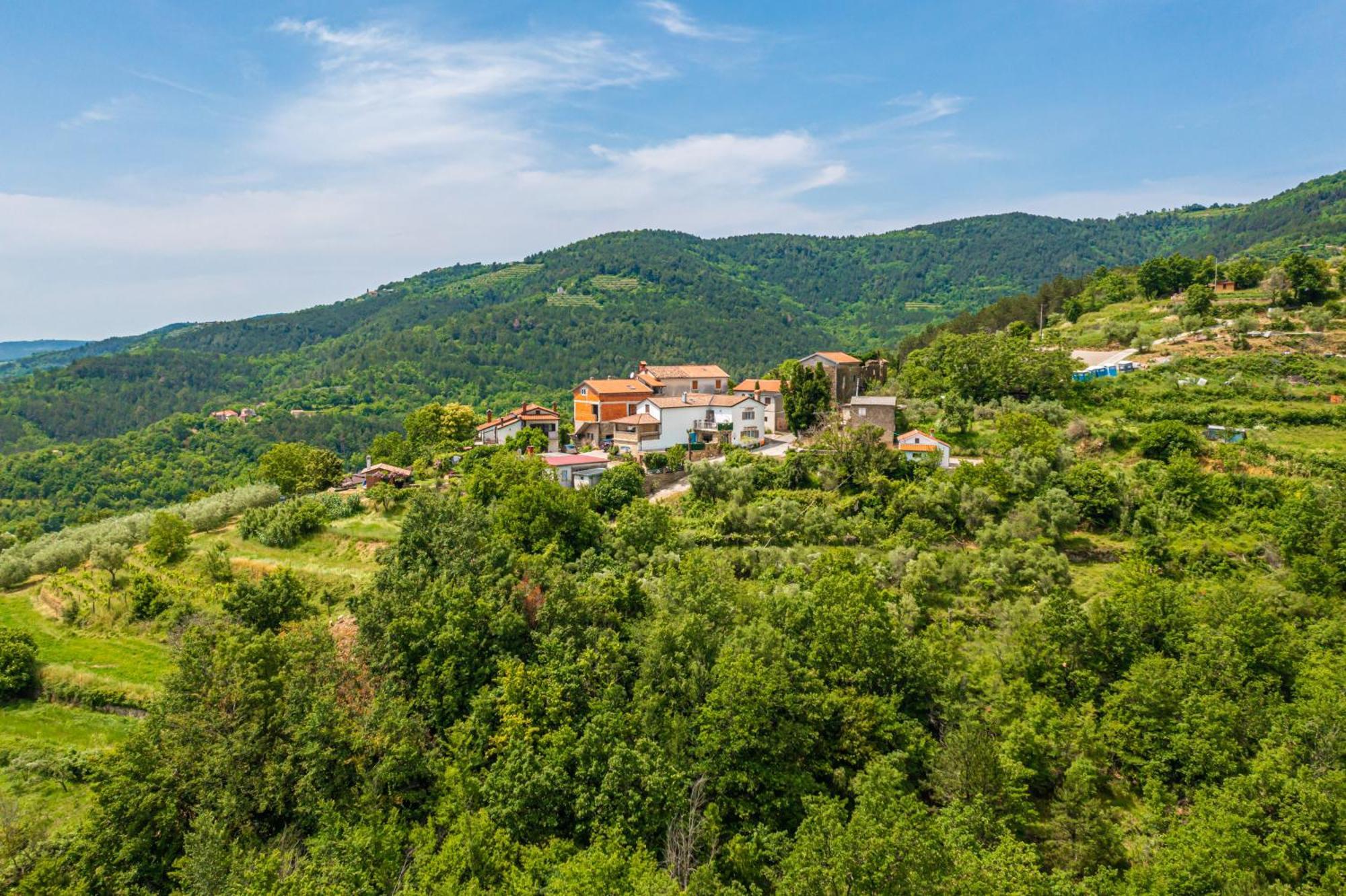 Holiday Home Belveder Motovun With Heated Pool Livade Zewnętrze zdjęcie
